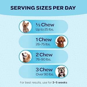 12-in-1 Dog Multivitamin Chewable Treats | Complete Multivitamin for Dogs with Glucosamine Chondroitin & Digestive Enzymes for Dogs of All Ages and Sizes | NASC Certified & Made in The USA | 60 Chews
