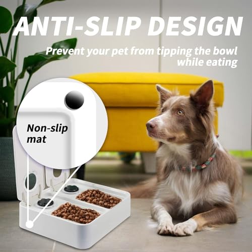 ALL FOR PAWS Automatischer Katzenfutterspender 2 Mahlzeit Hundefutterspender mit Eisbeutel, Für Trocken- und Nassfutter geeignet mit 48-Stunden-Timer, Spülmaschinenfest, (2-Mahlzeiten)