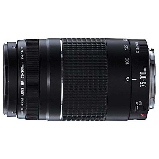 Canon EF 75-300mm Telephoto Zoom Lens