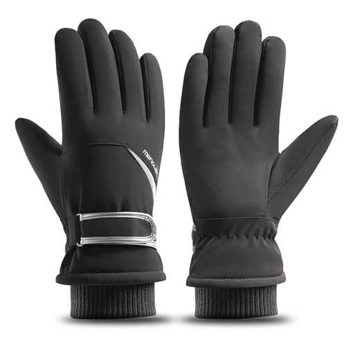 [LEZOOY] AEghAO[u Y h X}zΉ H N  X|[cO[u XL[OO[u Ԋ ۉ   h ~ oR TCNOO[u ނ XL[ ʋ ʊw  ~p jp 