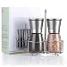 T·G·Y Salt and Pepper Grinder Set with Stand Adjustable Coarseness Salt & Pepper Shakers Glass Mill Brushed, with with Stand, with with Stand