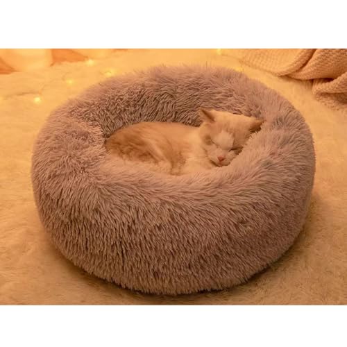 [ADSNS] ybgxbh ybgNbV ybg\t@ Eh^ J[2 ی^ h[icybgxbh 薰 ӂӂ  g ~ h ΍ 60cm Eh^ g ybgNbV L h