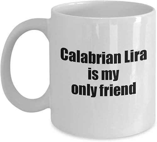 EzGift Funny Calabrian Lira Mug Is My Only Friend Quote Musician Gift For Instrument Player Coffee Tea Cup 11 oz