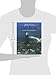 Gulf Coast Lighthouses: Florida Keys to the Rio Grande (Lighthouse Series)