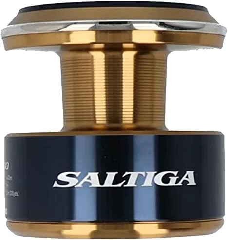 Daiwa Bobine Moulinet Saltiga 2020 14000 P-Xh - J898701
