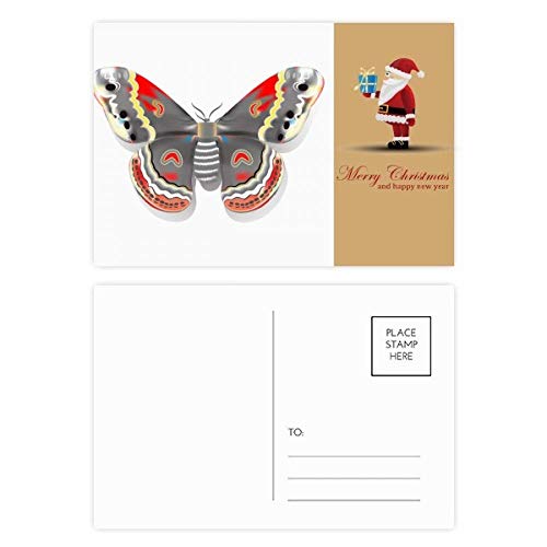 Cartes postales 3D papillons de père Noël lot de 20 pour vos voeux