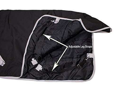 Derby Originals Classic Winter Horse Turnout Blanket 600D Medium Weight