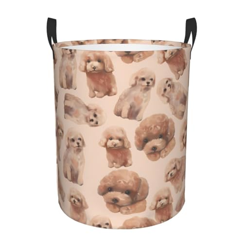 Cv[h  ꕞ[󂩂 ܂ݑeʐ󕨂 Q󎺑@\[obO oX[p胉h[ S