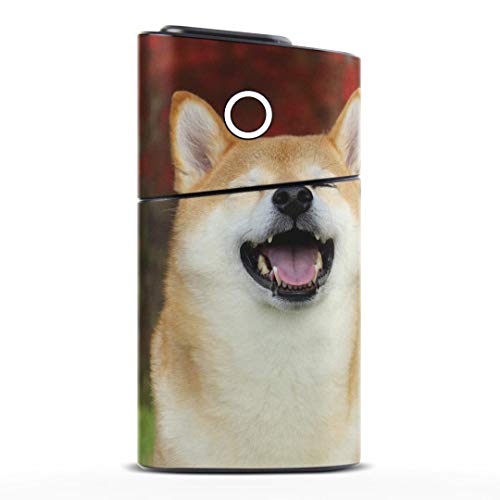 igsticker glo series2 専用スキンシール シリーズ2 グロー グロウ 全面 + 天面 + 底面 360°フルセット カバー ケース 保護 フィルム ステッカー 015611 犬 かわいい 柴犬