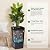 PeakPursuit 22" Tall Planters Set of 2, Outdoor?Indoor Black Planter Pots, High Front Porch Planter Pots with Drainage Holes?Water Level Monitor?Inner Bucket, Automatic Watering, Black