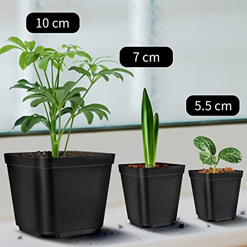 Muzhira Pots for Seed Starting/Cuttings - Image 4