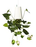 LOHOME Inverted Sky Garden Sky Postmodern Hanging Pot Upside Down Plant Flowerpot (White)