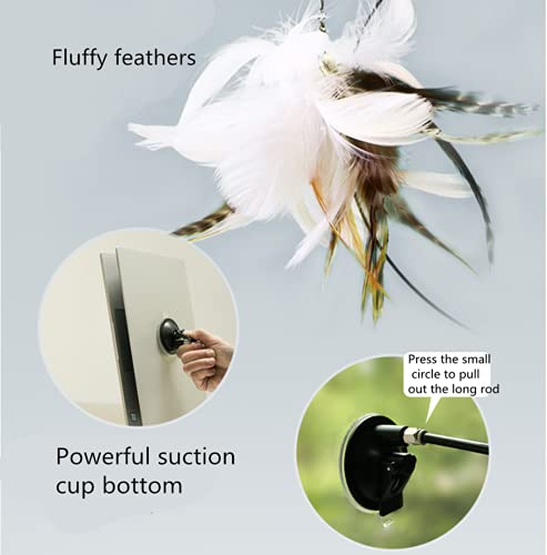 DUJIAOSHOU Brinquedos de Penas para Gato, Brinquedo Interativo para Gato, Palito de gato engraçado c