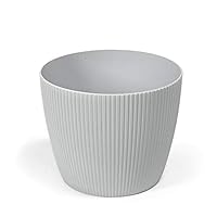 462554_5
