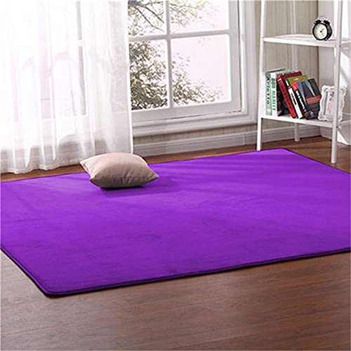 Il Più Nuovo semplice Tappeto Velluto Corallo Tinta Unita Big Purple Pelo Corto Morbida Antiscivolo lavabile Coperta Stuoia Rug Spesso in Pile di Corallo per Tatami Soggiorno Camera Tappetino -60×90cm