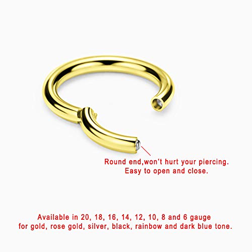 Image of FANSING Men Women 316L Surgical Steel Hinged Nose Rings Hoop for Nostril Septum Cartilage Helix Daith Tragus Rook Conch Lip Ear Lobe Piercings