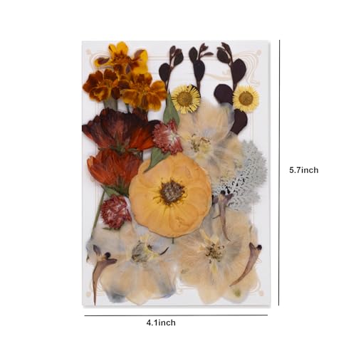 Flores Secas Prensadas Naturales para Manualidades 40 Piezas miniatura 7