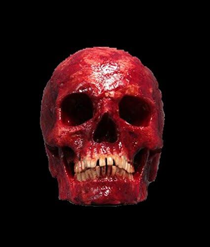 BACK FROM THE GRAVE Life-Size Human Skull with Meat and Blood | Halloween Decorations