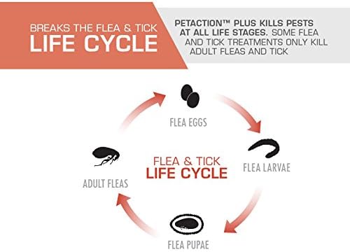 PetAction Plus Flea & Tick Treatment for Cats Over 1.5 lbs, 3 Month Supply (Packaging May Vary)