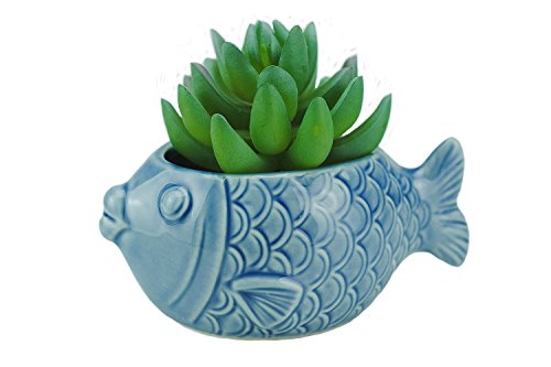 VanEnjoy 5' Ceramic Succulent Pot - Cute Ocean Blue Seashell Series, Conch Shaped Cactus Planter, Flower Pottery Bonsai (Seashell M)