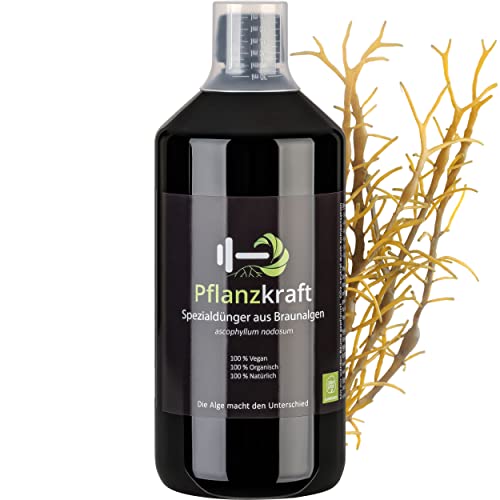 Pflanzkraft organischer Universaldnger Braun-Algendnger - Flssigdnger  fr Obst, Gemse, Rasen, Zimmerpflanzen, Blh- und Grnpflanzen - NK  Gemsednger Rasendnger Tomatendnger Blumendnger : Amazon.de: Garten