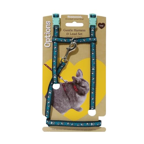 Options Paw Print Harness & Lead Large