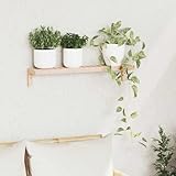 Construction en noyer massif : cette étagère est fabriquée en bois de noyer massif de qualité supérieure et offre un cadre stable, des armoires qui durent longtemps