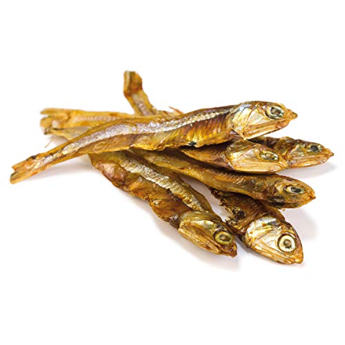 Arquivet Getrockneter Fisch, 100 g (1 Stück)