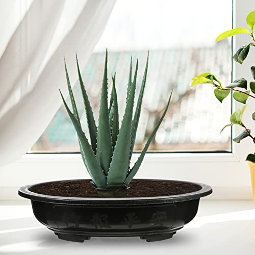 Doitool Bonsai Training Pots, 6Pcs 15“ Bonsai Plants Growing Pot Large Deep Flower Pot, Plastic Oval Planter Pot With Drainage Hole For Nursery, Garden, Balcony #TOP1