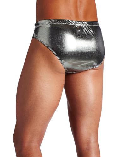 INTIMO Men's Silver Bikini Brief Underwear2