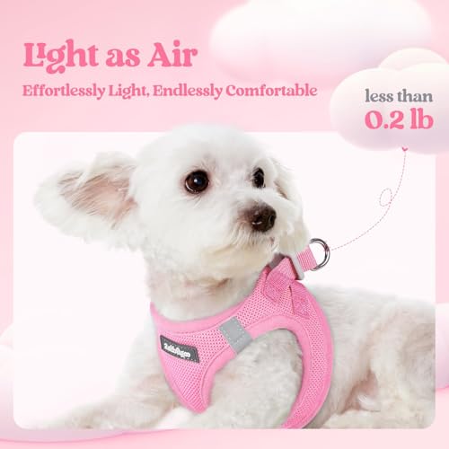 Image of rabbitgoo Dog Harness Medium Sized and Leash Set, Step-in Puppy Pet Vest
