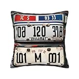 Utilisation polyvalente et facile d'entretien : pour canapés, lits, salons, chambres, bureaux, voitures et même les terrasses extérieures. Ces coussins lavables, respirants et infroissables améliorent la décoration d'intérieur en toute saison.