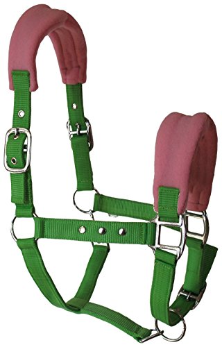 JF-Reitsport Nylon-Halfter weich unterlegt 3-Fach verstellbar Grün Pony