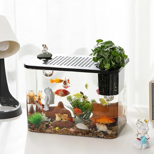 Aquarium de bureau compact pour poisson Betta et décor de table de salon - 4