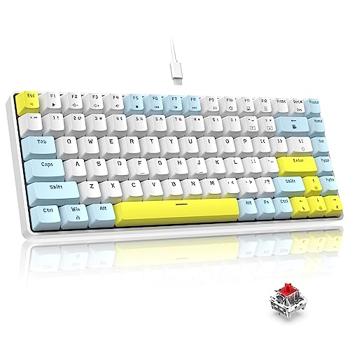 Image of LexonElec RK-84 Portable Mechanical Gaming Keyboard,Rainbow LED Backlit Compact 84 Keys Mini Wired Office Keyboard with Red Switch for Windows Laptop PC Mac-White /Blue /Orange