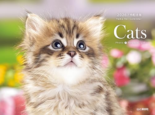 カレンダー2026 Cats（月めくり/壁掛け/猫 こねこ） (ヤマケイカレンダー2026)のサムネイル