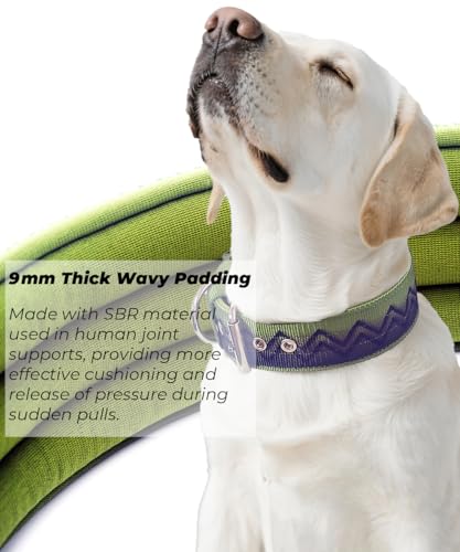 Hundehalsband Große Hunde NeckShield Kontroll - 5 cm Breit Halsband Hund mit Extra Dicker Polsterung und Griff, SGS-Zertifizierte Sicherheit, Professioneller Schutz 50-58cm, GRÜN