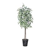 Vickerman 6-Feet Artificial Variegated Ficus Economy Tree in Decorative Container