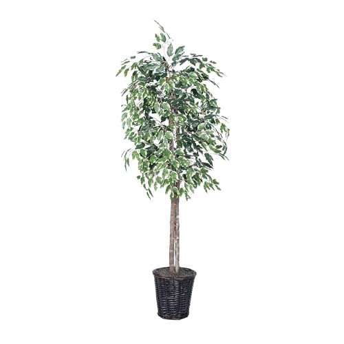 Vickerman 6-Feet Artificial Variegated Ficus Economy Tree in Decorative Container