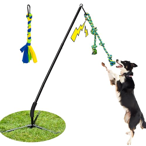 IAIGOGO AEghA p jp p C^NeBu eU[ v  AAŐ[v ^ё^p