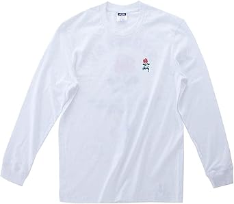 ❗️期間限定SALE❗️ステューシー ブルックリン ローズ ロング Tシャツ　黒L ステューシー STUSSY BROOKLYN ROSE Tシャツ カットソー ロンT