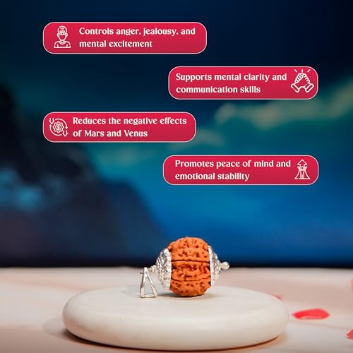 Image of Gemsmantra 6 Mukhi Rudraksha Bead With Silver Pendant 92.5 Purity with Sterling silver |Medium Size | Original Nepali | Natural and Lab Certified | Enhances Willpower, Confidence, Vitality, and Spiritual Growth For Men & Women