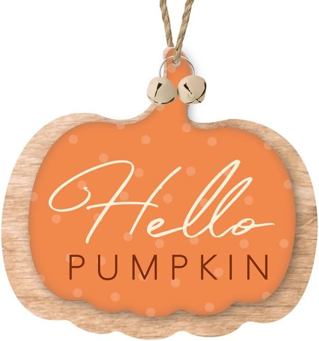 Heaven Sends Hello Pumpkin Hanging Wooden Decoration