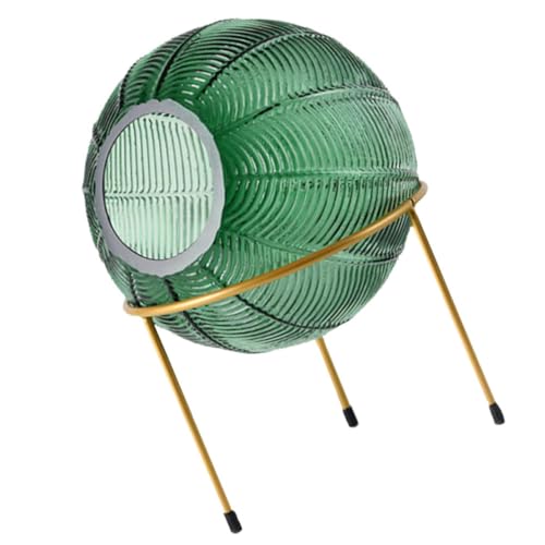 Vase en fer vert pour plantes et fleurs séchées de style moderne