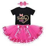 Newborn Toddler Baby Girls Half 1st 2nd Birthday Outfit Mouse Princess Dress Polka Dots Tutu Skirt ONE Cake Smash Halloween Fancy Funny Costume for Photo Shoot Black-Sweetheart 6 Months