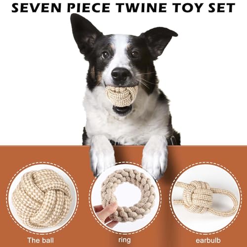 GOMETY 5 PCS Kauen Hundespielzeug Set,Interaktives Kauspielzeug aus Natürlicher Baumwolle,Hundespielzeug Seil mit Knoten Ball,für Kleine Mittlere Große Welpen Katzen Haustier Zahnpflege,Beige Leinen