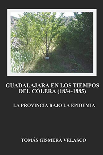 Guadalajara en los tiempos del colera (1834-1885): La provincia bajo la epidemia (Spanish Edition)