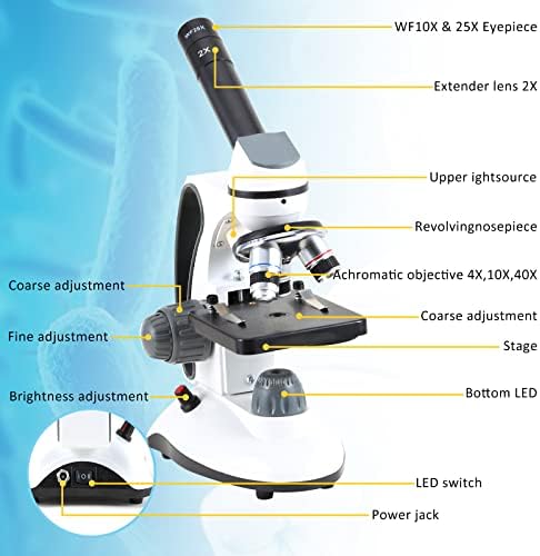 40X-2000X Microscopes for Kids Students Adults, with Microscope Prepared Slides 30p, Microscope Accessories, Phone Adapter, Wire Camera Shutter, Microscopes for School Laboratory Home Education 9 41H6EMb1OoL. AC