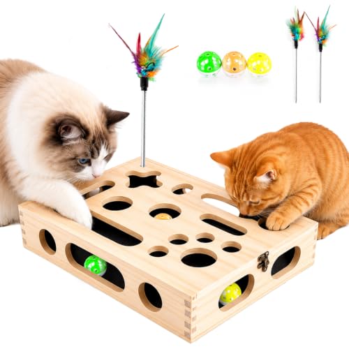 Large Cat Nail File Box, Sturdy Wood with 3 Small