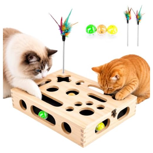 Large Cat Nail File Box, Sturdy Wood Cat Scratch Puzzle Enrichment Box